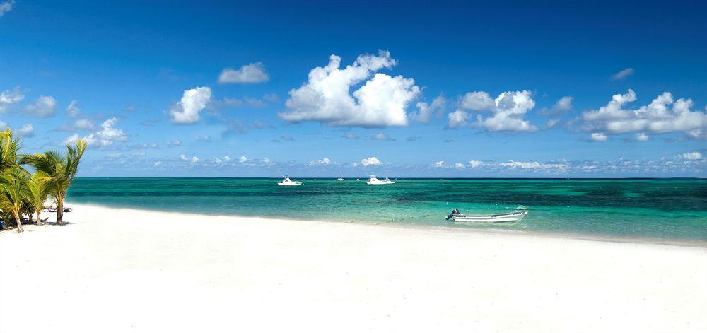 Ifa Bavaro And